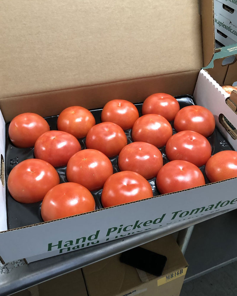 hand picked organic red tomatoes packed in a box
