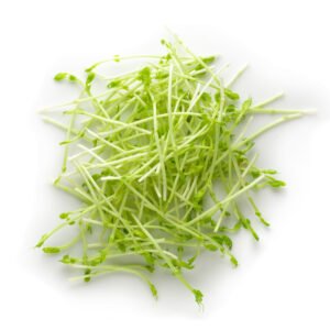 Snow Pea Sprouts, Restaurant Produce Suppliers, Wholesale Produce Supplies