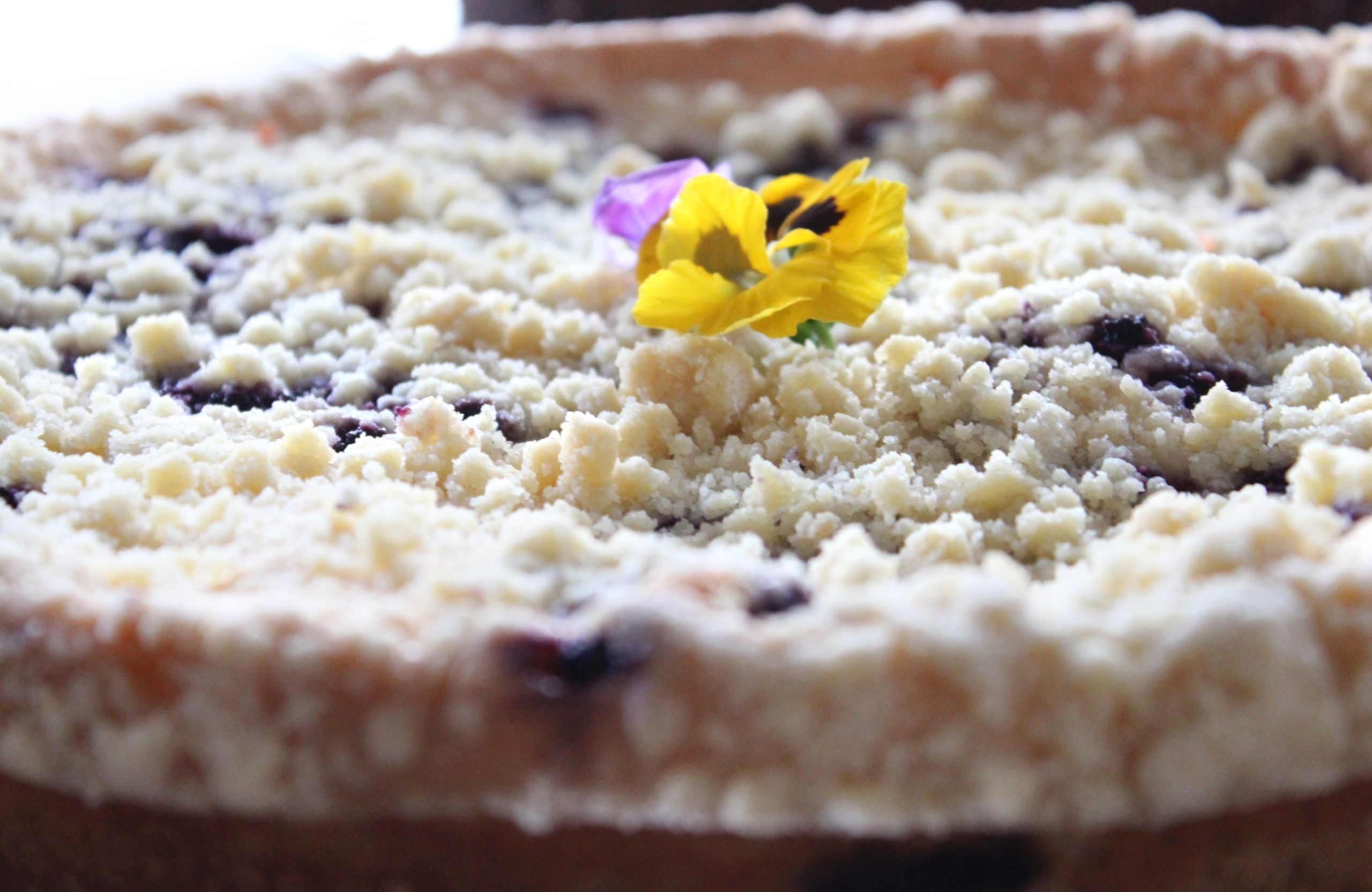 edible pansy flower on a crumbly pastry