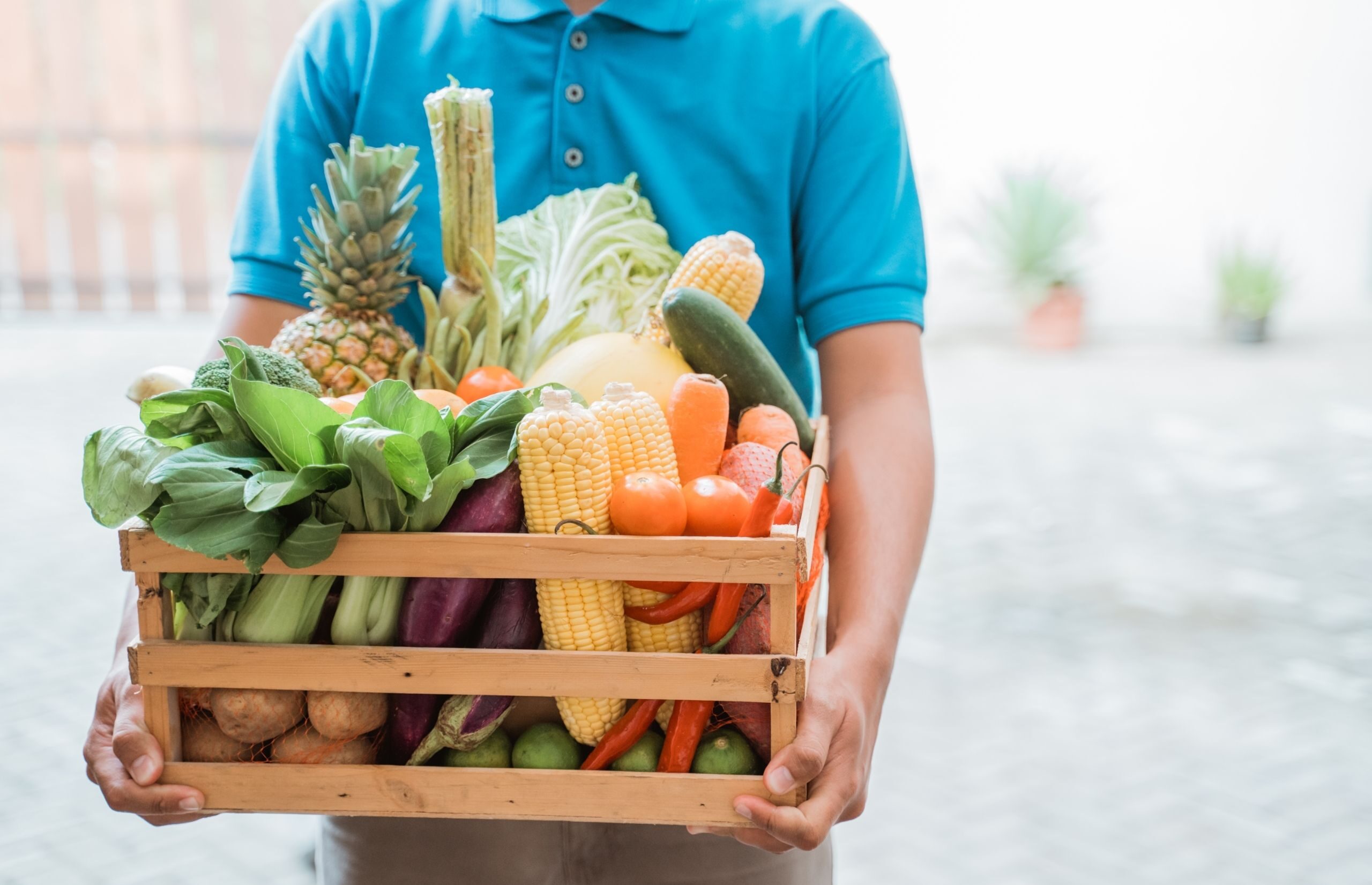 crate of organic fruits and vegtables being delivered