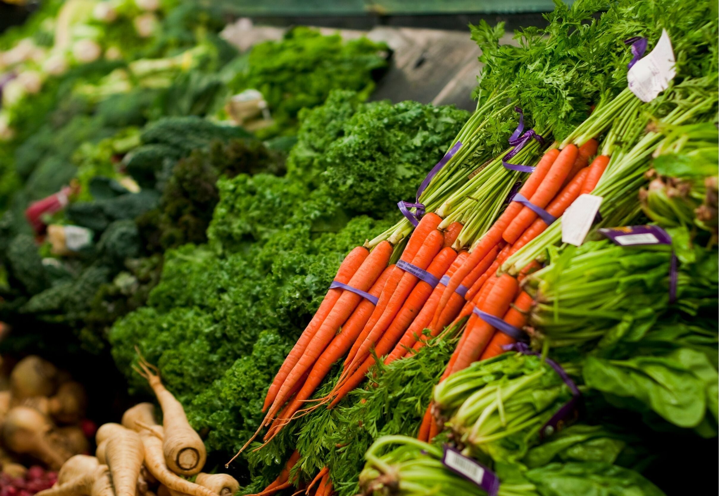 fresh organic carrots bundled for sale