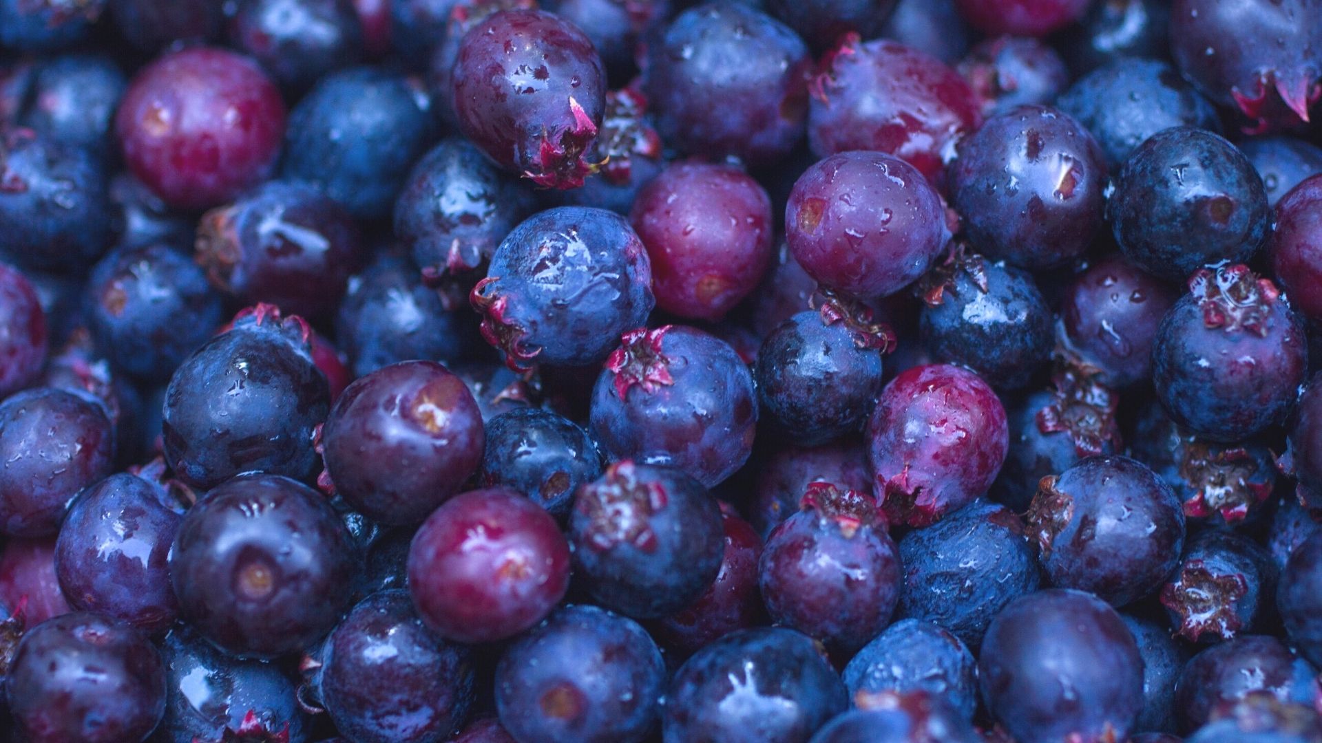 closeup visual of a whole bunch of freshly washed huckleberries