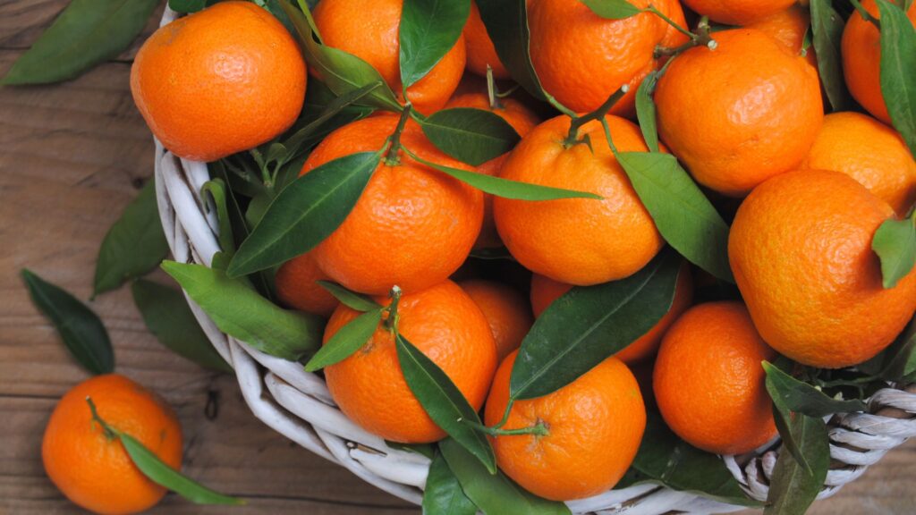 freshly picked mandarin oranges sitting a white basket