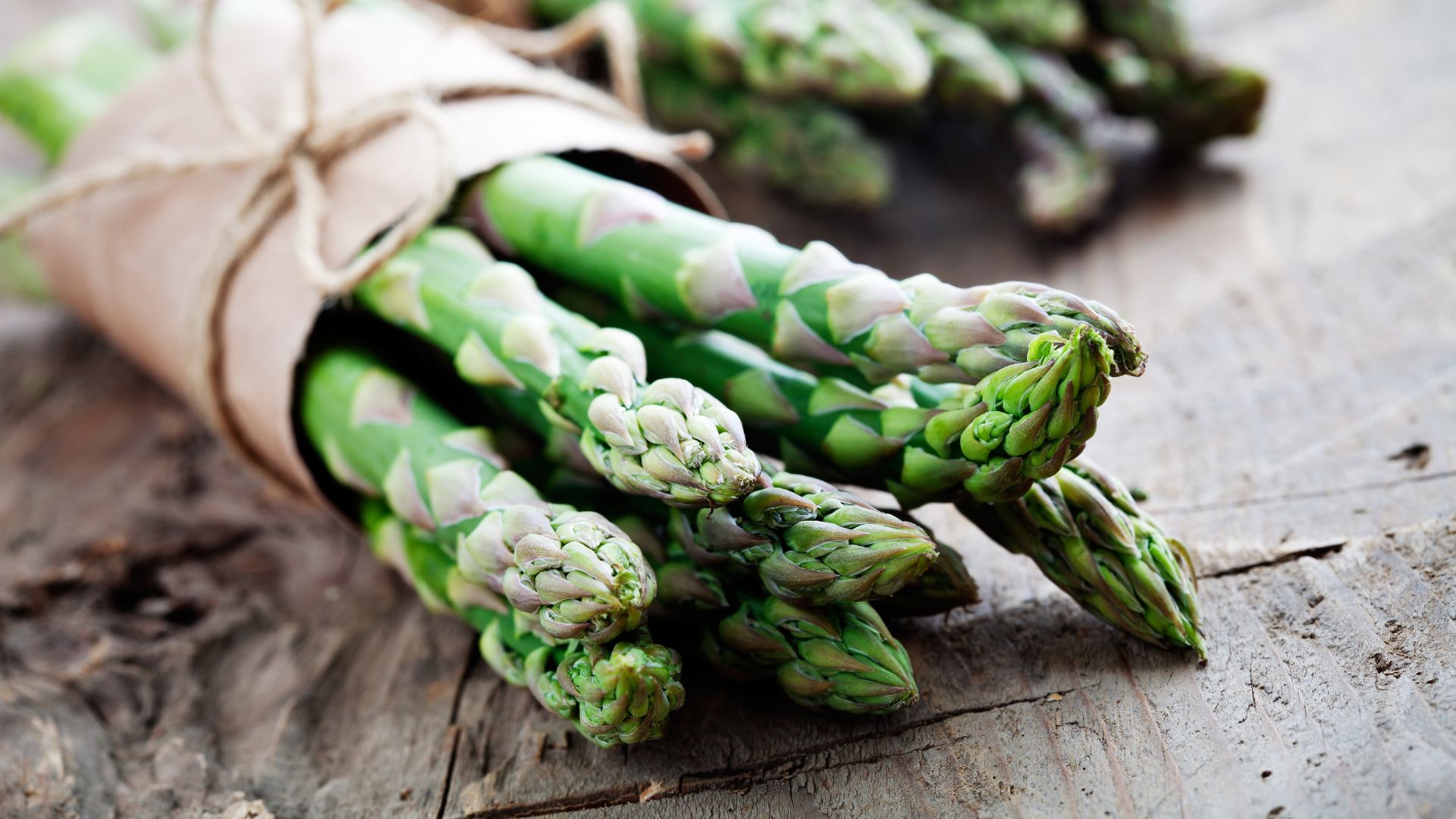 green asparagus bundled