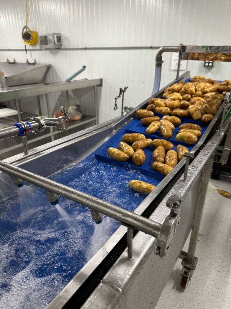 Potatoes being washed